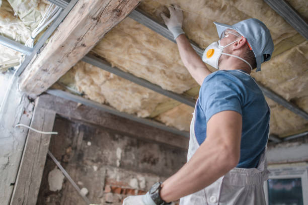 Best Insulation Maintenance and Repair in Alba, NY