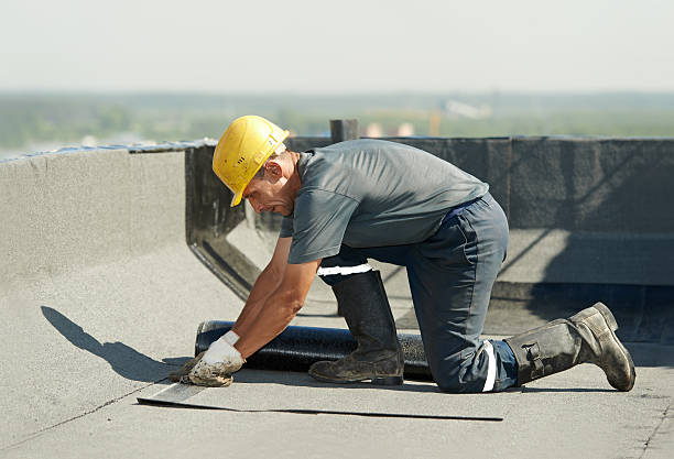 Best Insulation Installation Services in Alba, NY